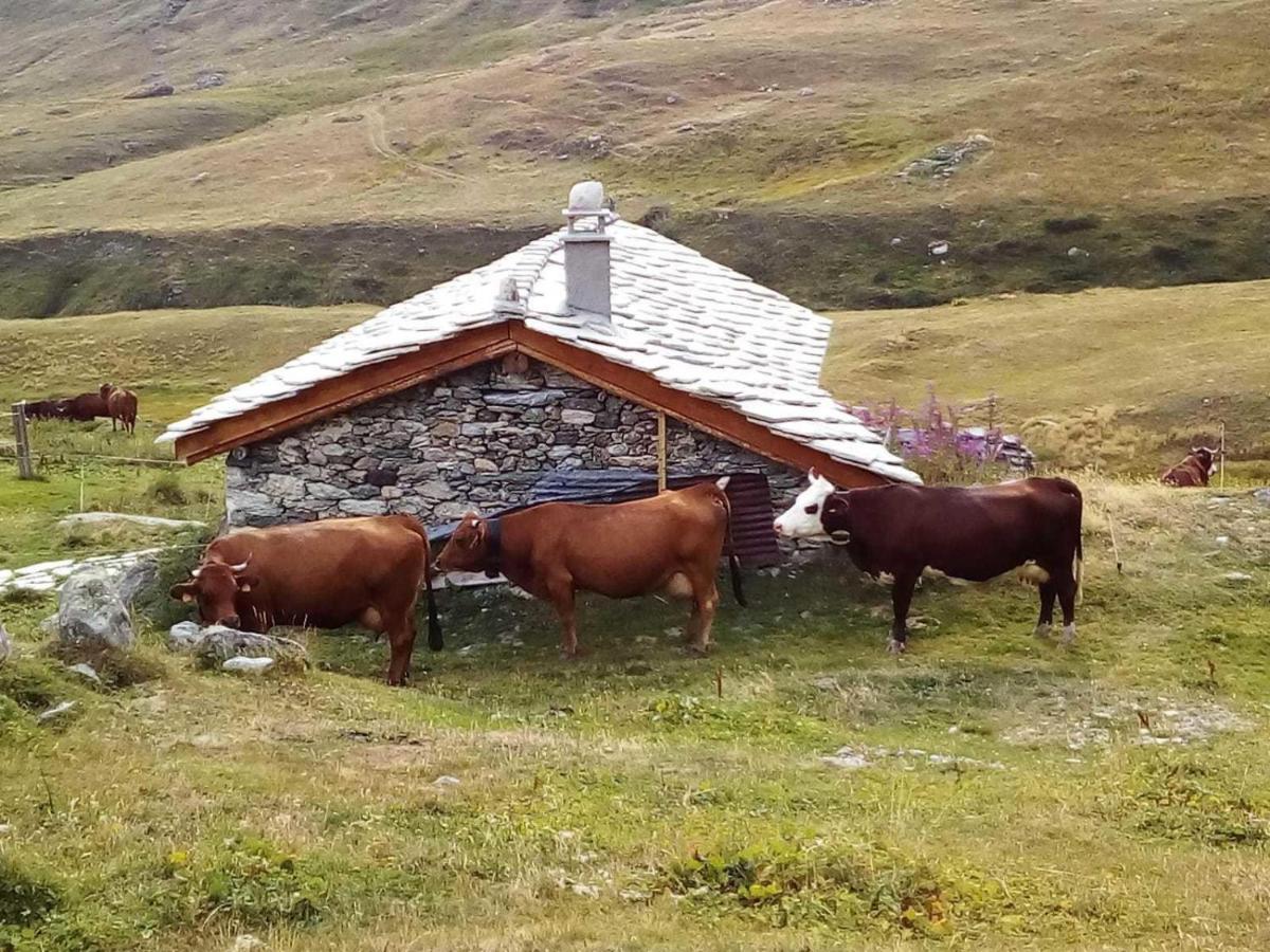 Les Balcons Proche Parc National Vanoise Appartements 2 Pieces 6 Pers Montagne Superieur Терміньон Екстер'єр фото